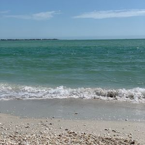 Meet your Posher, Abigail